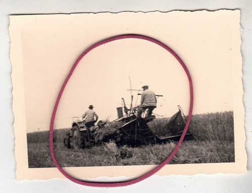 Photo foto traktor schlepper - traktor,